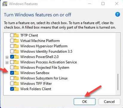 Check the box in the Windows 11 Additional Features to activate it.